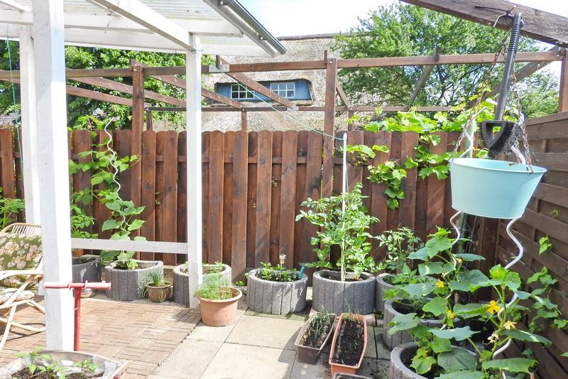 Trepte-Immobilien GmbH